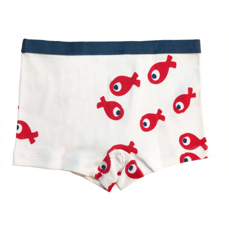 Boxer NOÉ