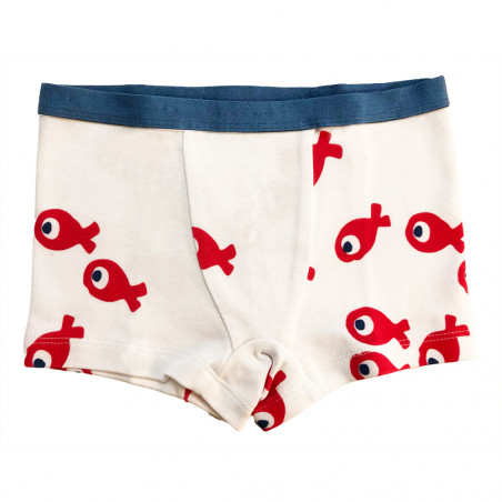 Boxer NOÉ